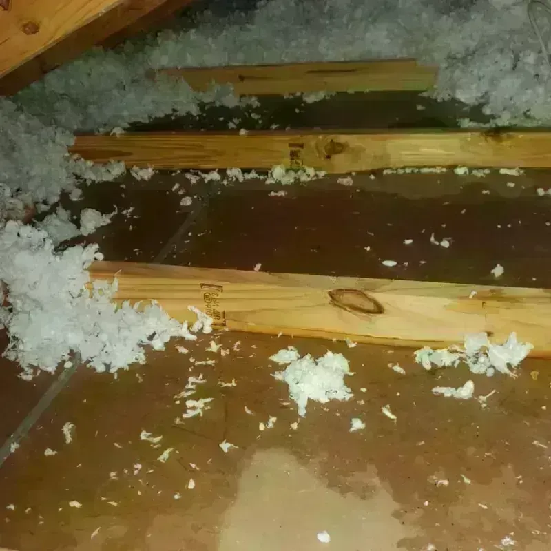 Attic Water Damage in Lancaster, MO