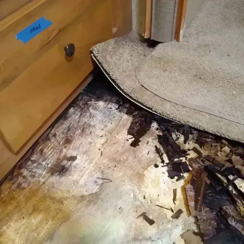 Wood Floor Water Damage in Lancaster, MO